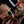 Diorama Assassin's Creed Spartan Kick à l'échelle 1/6, édition exclusive